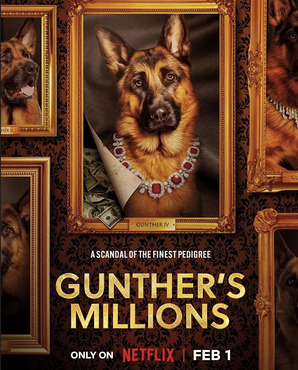 Gunther - Chú chó triệu phú